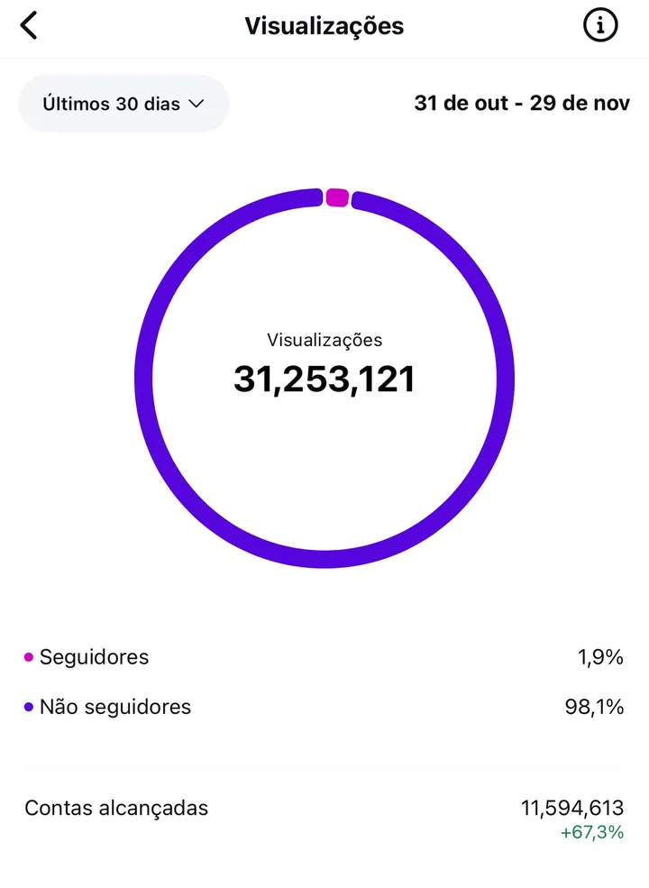 Insights do Instagram: 31.253.121 visualizações em 30 dias, 98,1% de não seguidores